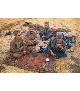 نخ و نقشه تابلو فرش ایرانی کد 33- مردان عشایر